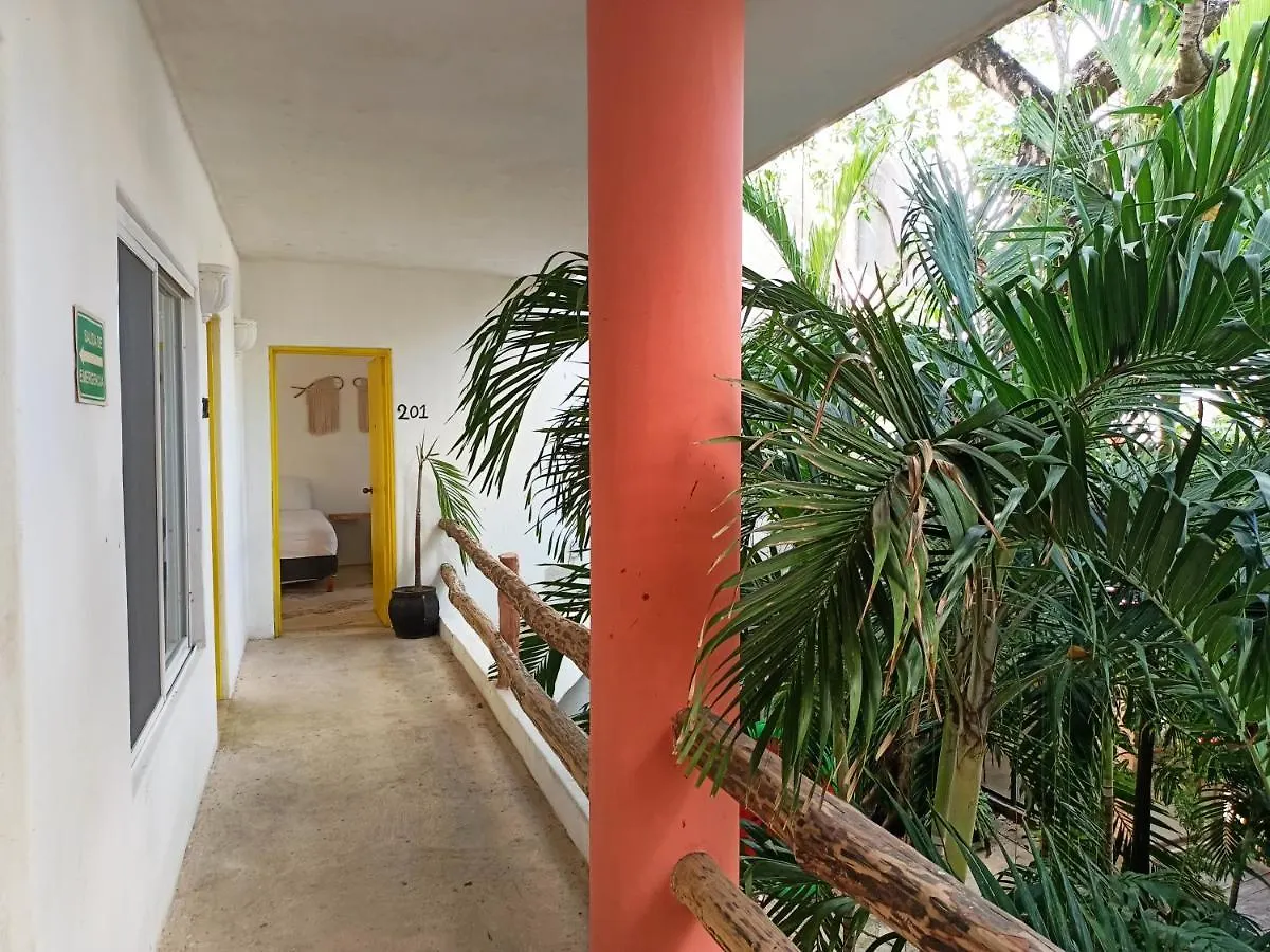 Big Room On 5Th Av Playa del Carmen 2*,  Mexico