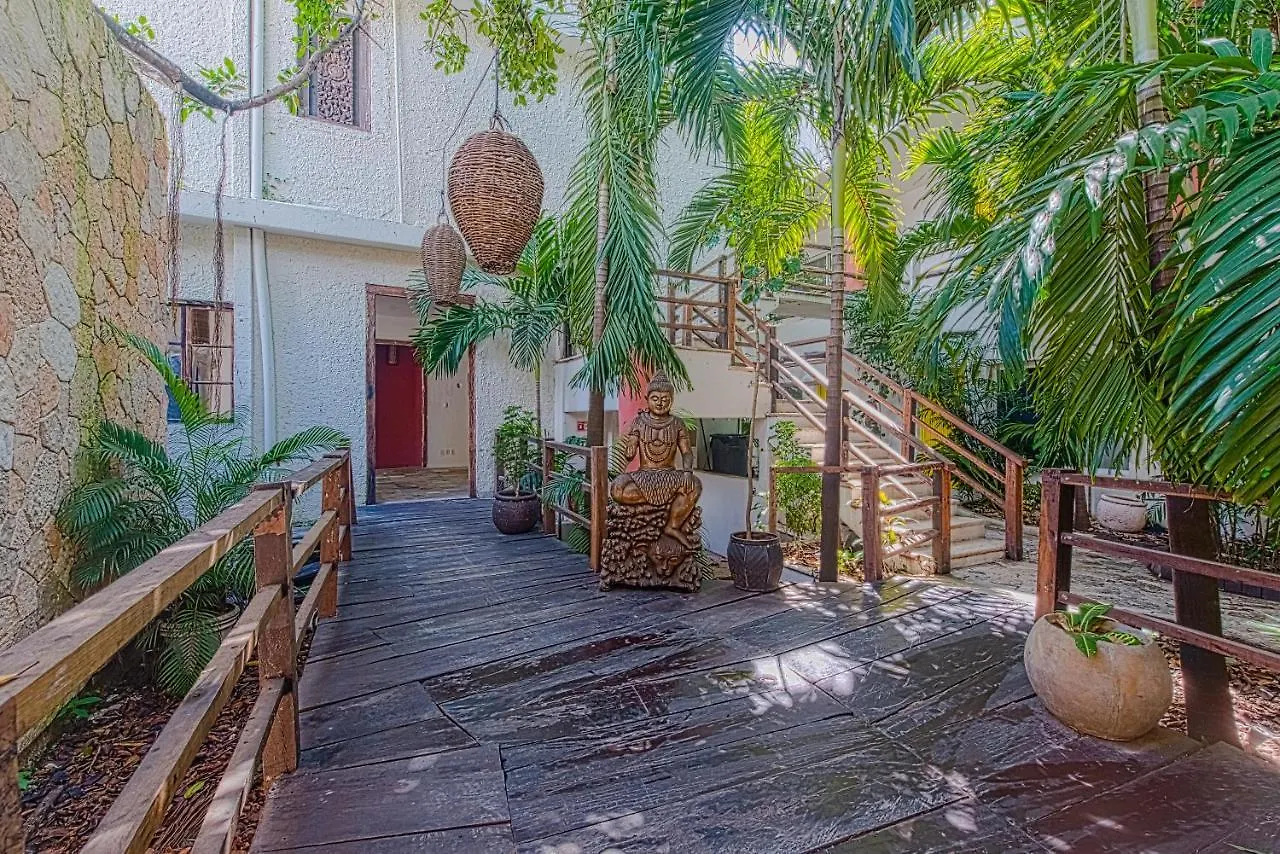 Aparthotel Big Room On 5Th Av Playa del Carmen