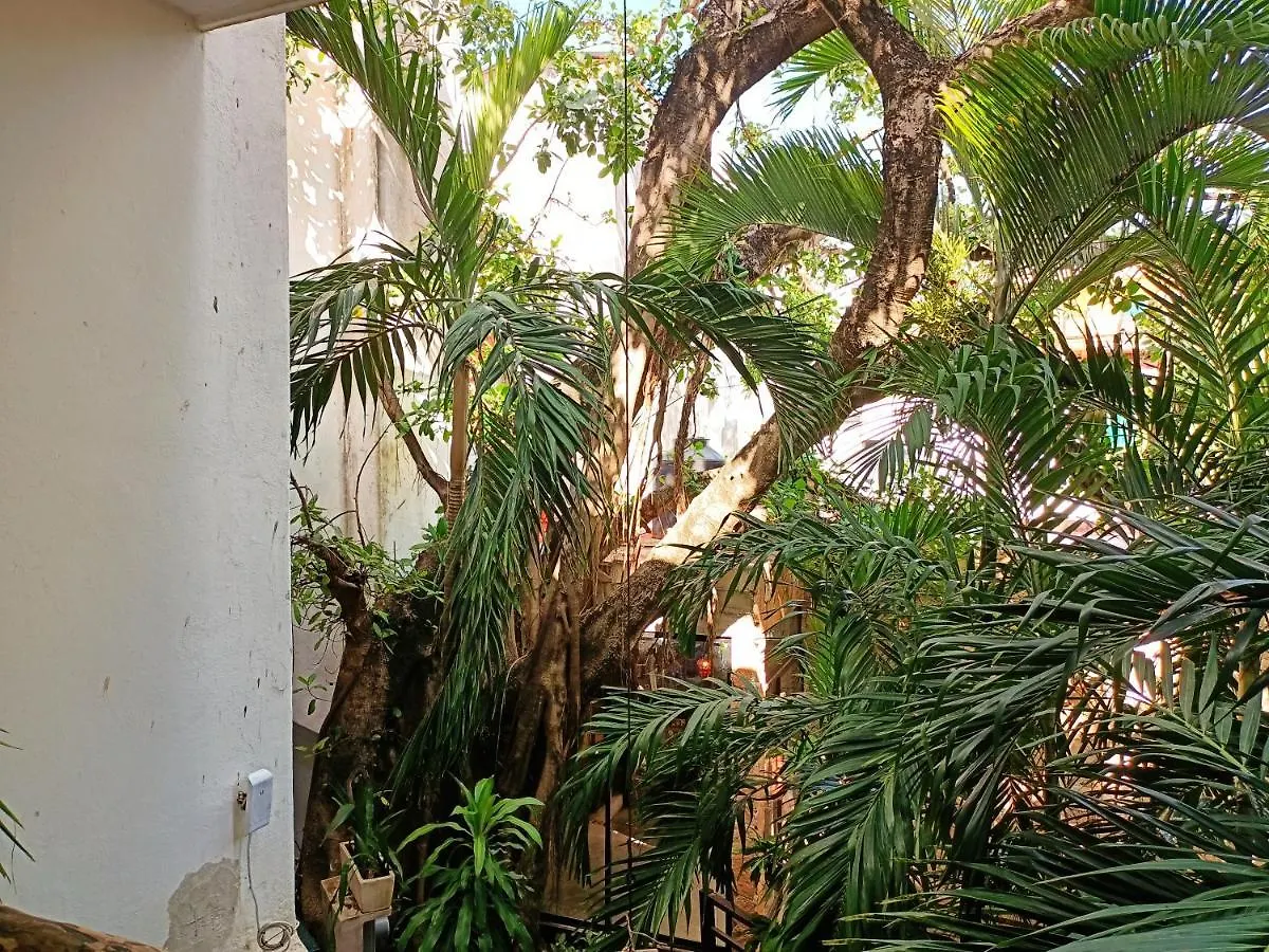 Big Room On 5Th Av Playa del Carmen 2*,